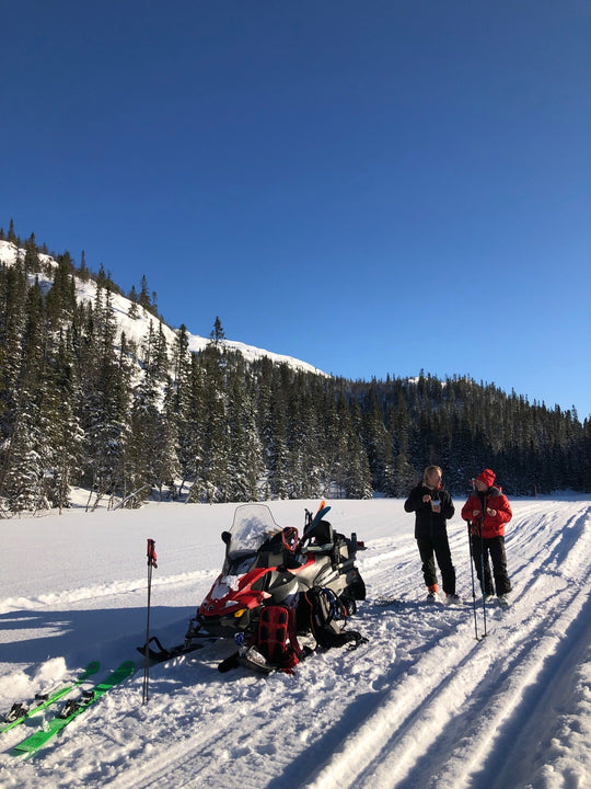Topptur i Jämtland; Mjölkvattnet, Almdalen eller Helags