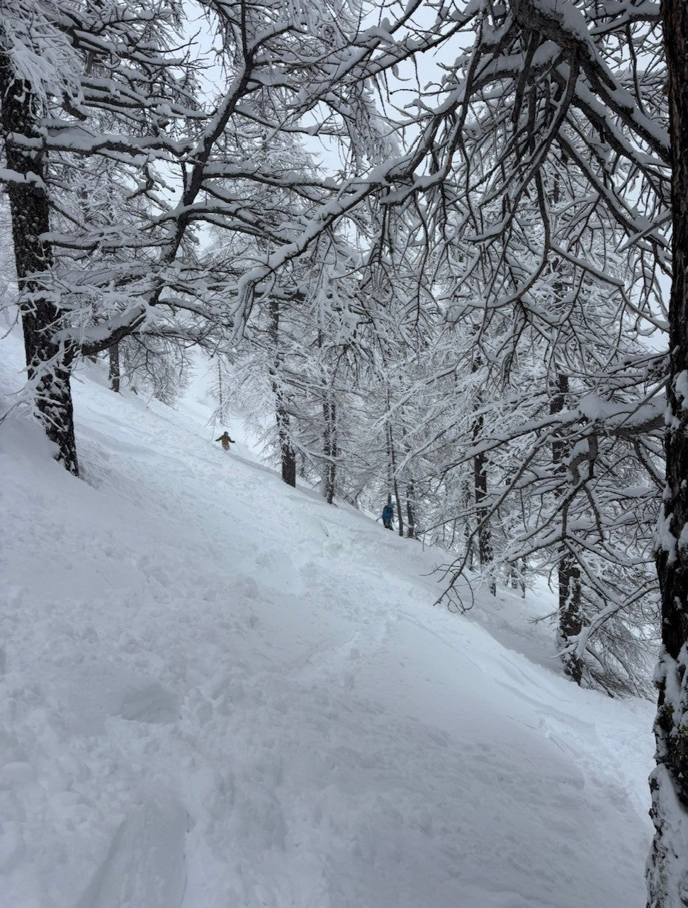 Topptur i Jämtland; Mjölkvattnet, Almdalen eller Helags
