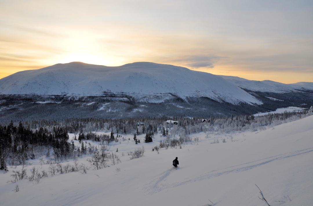 Topptur i Jämtland; Mjölkvattnet, Almdalen eller Helags